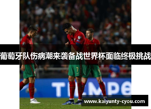 葡萄牙队伤病潮来袭备战世界杯面临终极挑战