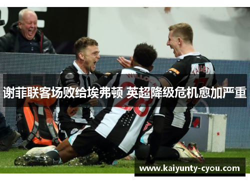 谢菲联客场败给埃弗顿 英超降级危机愈加严重