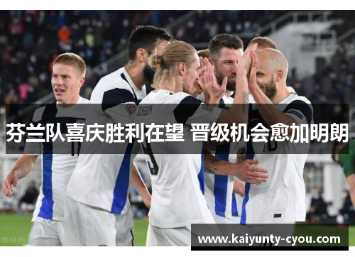 芬兰队喜庆胜利在望 晋级机会愈加明朗