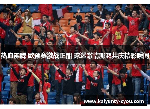 热血沸腾 欧预赛激战正酣 球迷激情澎湃共庆精彩瞬间