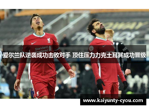 爱尔兰队逆袭成功击败对手 顶住压力力克土耳其成功晋级